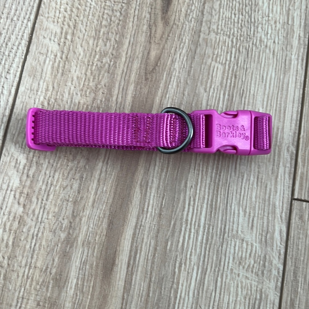 Boots & Barkley Pink Puppy Collar